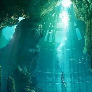 Meet your Posher, Ella